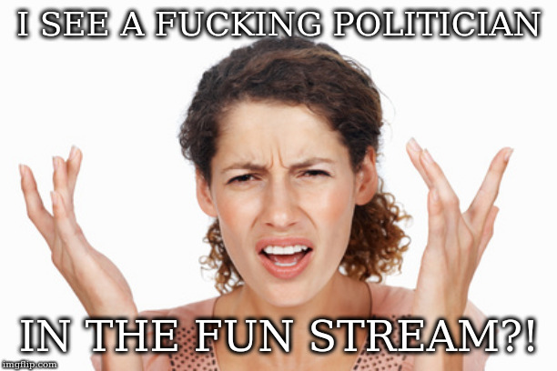 Indignant | I SEE A F**KING POLITICIAN IN THE FUN STREAM?! | image tagged in indignant | made w/ Imgflip meme maker