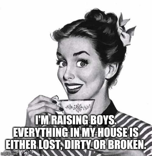 Vintage coffee | I'M RAISING BOYS. EVERYTHING IN MY HOUSE IS EITHER LOST, DIRTY OR BROKEN. | image tagged in vintage coffee | made w/ Imgflip meme maker