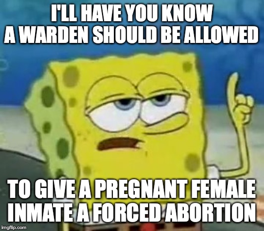 Force Aborting a Pregnant Female Inm pic