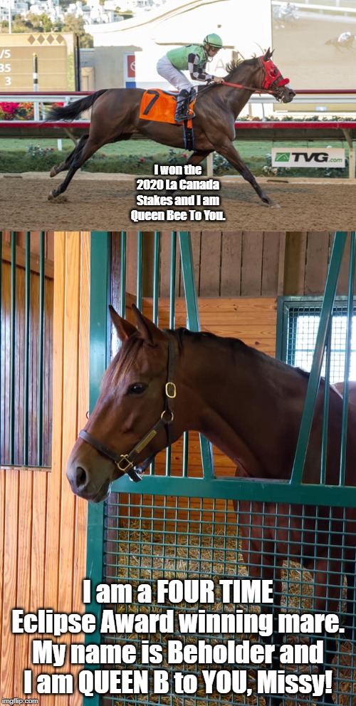 The Real Queen B. | I won the 2020 La Canada Stakes and I am Queen Bee To You. I am a FOUR TIME Eclipse Award winning mare. My name is Beholder and I am QUEEN B to YOU, Missy! | image tagged in funny,horses | made w/ Imgflip meme maker
