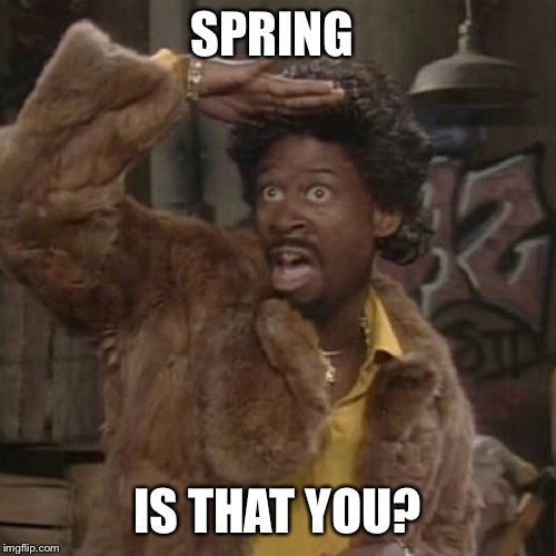 Is that you playa | SPRING; IS THAT YOU? | image tagged in is that you playa | made w/ Imgflip meme maker