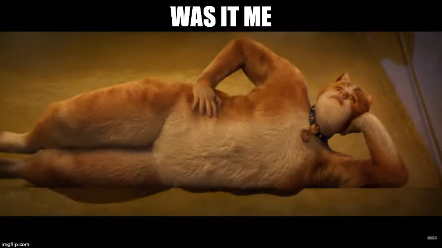 Cats Movie | WAS IT ME | image tagged in cats movie | made w/ Imgflip meme maker