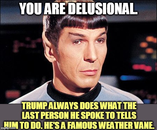 Condescending Spock | YOU ARE DELUSIONAL. TRUMP ALWAYS DOES WHAT THE LAST PERSON HE SPOKE TO TELLS HIM TO DO. HE'S A FAMOUS WEATHER VANE. | image tagged in condescending spock | made w/ Imgflip meme maker