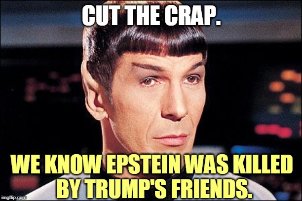 Condescending Spock | CUT THE CRAP. WE KNOW EPSTEIN WAS KILLED 
BY TRUMP'S FRIENDS. | image tagged in condescending spock | made w/ Imgflip meme maker