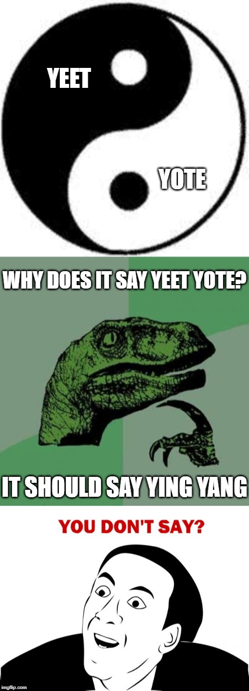 YEET YOTE | YEET; YOTE; WHY DOES IT SAY YEET YOTE? IT SHOULD SAY YING YANG | image tagged in memes,you don't say | made w/ Imgflip meme maker