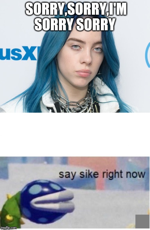 SORRY,SORRY,I'M SORRY SORRY | image tagged in say sike right now,unhappy billie eilish | made w/ Imgflip meme maker