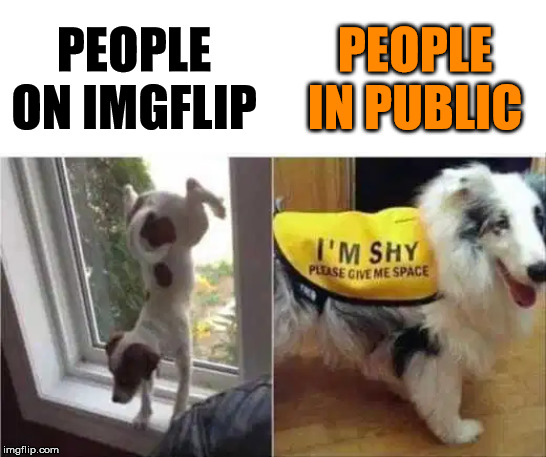 PEOPLE ON IMGFLIP; PEOPLE IN PUBLIC | made w/ Imgflip meme maker