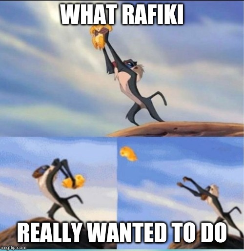 lion being yeeted | WHAT RAFIKI; REALLY WANTED TO DO | image tagged in lion being yeeted | made w/ Imgflip meme maker