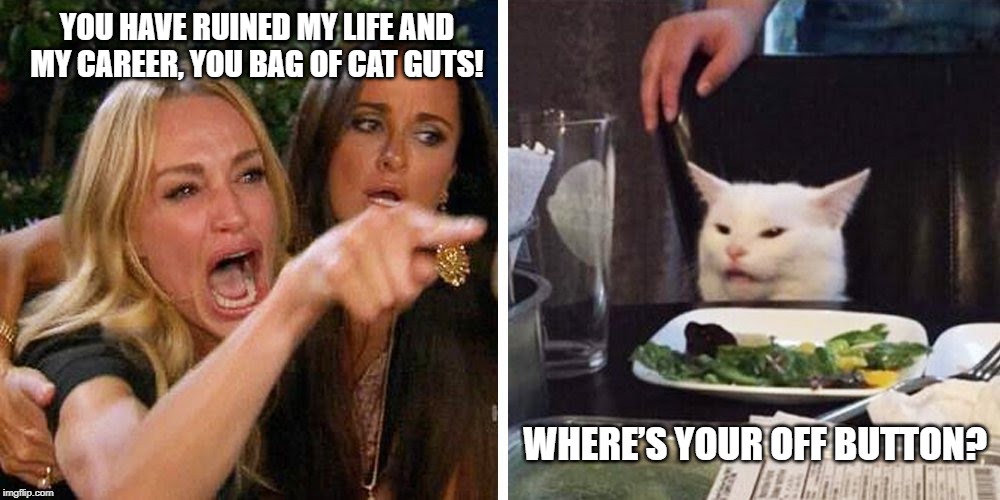 Smudge the cat | YOU HAVE RUINED MY LIFE AND MY CAREER, YOU BAG OF CAT GUTS! WHERE’S YOUR OFF BUTTON? | image tagged in smudge the cat | made w/ Imgflip meme maker