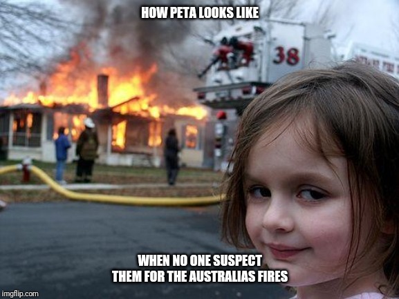 Disaster Girl Meme | HOW PETA LOOKS LIKE; WHEN NO ONE SUSPECT THEM FOR THE AUSTRALIAS FIRES | image tagged in memes,disaster girl | made w/ Imgflip meme maker