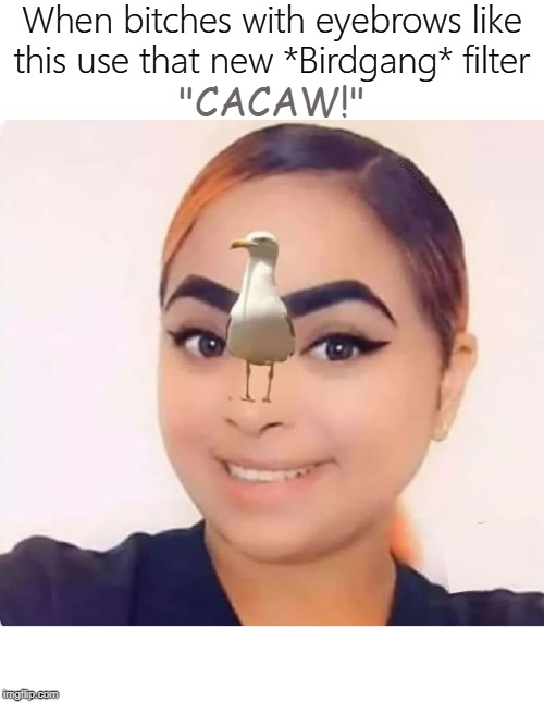 When bitches with eyebrows like this use that new *Birdgang* filter; "CACAW!"; COVELL BELLAMY III | image tagged in birdgang filter | made w/ Imgflip meme maker