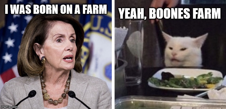 Pelosi yells at cat | I WAS BORN ON A FARM; YEAH, BOONES FARM | image tagged in pelosi yells at cat | made w/ Imgflip meme maker