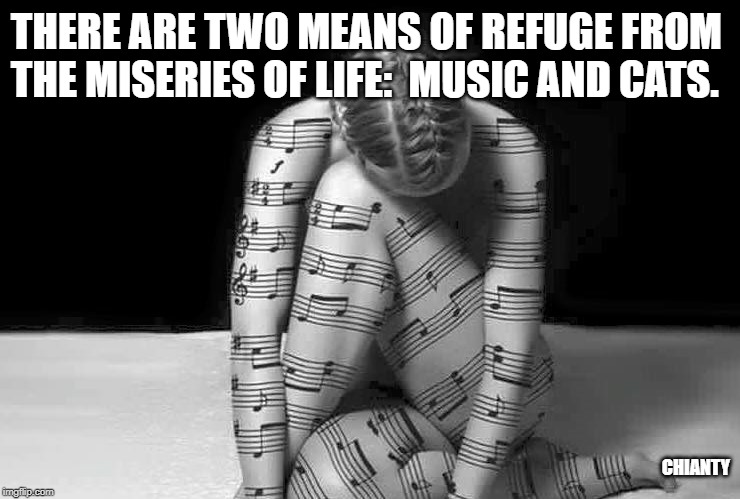 Two |  THERE ARE TWO MEANS OF REFUGE FROM THE MISERIES OF LIFE:  MUSIC AND CATS. CHIANTY | image tagged in misery | made w/ Imgflip meme maker