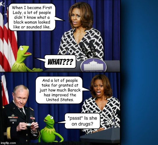 image tagged in michelle obama,politics,political | made w/ Imgflip meme maker