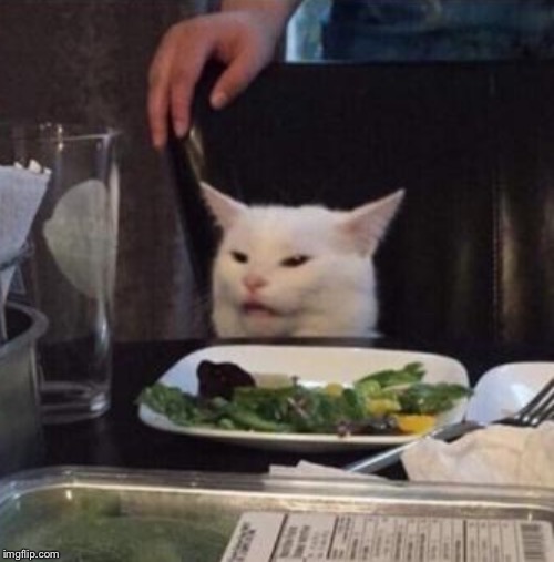 Template Available “Annoyed White Cat” | image tagged in annoyed white cat | made w/ Imgflip meme maker