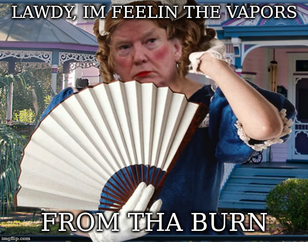 Southern Belle Trumpette | LAWDY, IM FEELIN THE VAPORS; FROM THA BURN | image tagged in southern belle trumpette | made w/ Imgflip meme maker