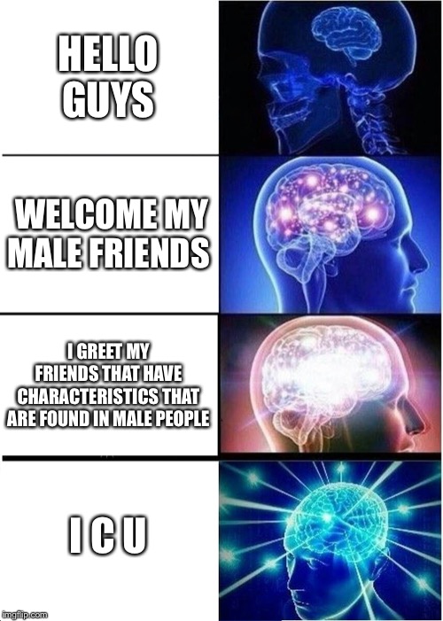 How to properly greet ur bois | HELLO GUYS; WELCOME MY MALE FRIENDS; I GREET MY FRIENDS THAT HAVE CHARACTERISTICS THAT ARE FOUND IN MALE PEOPLE; I C U | image tagged in memes,expanding brain | made w/ Imgflip meme maker