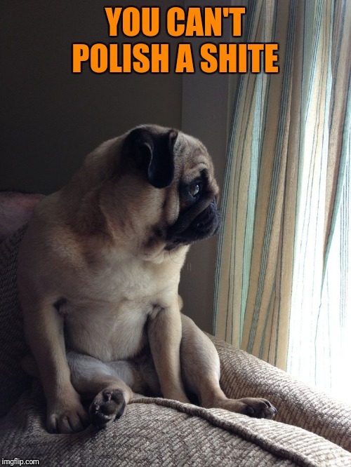 YOU CAN'T POLISH A SHITE | made w/ Imgflip meme maker