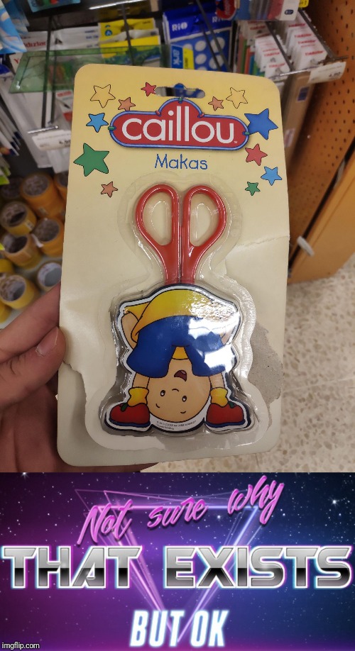 What the (Family friendly) | image tagged in not sure why that exists but ok | made w/ Imgflip meme maker