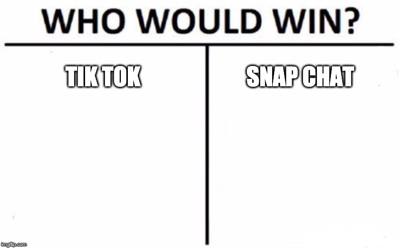 Who Would Win? Meme | TIK TOK; SNAP CHAT | image tagged in memes,who would win | made w/ Imgflip meme maker
