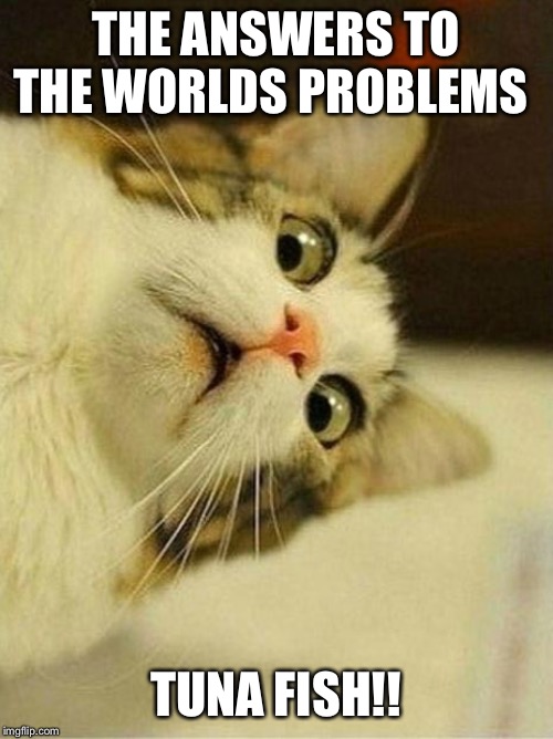Scared Cat Meme | THE ANSWERS TO THE WORLDS PROBLEMS; TUNA FISH!! | image tagged in memes,scared cat | made w/ Imgflip meme maker