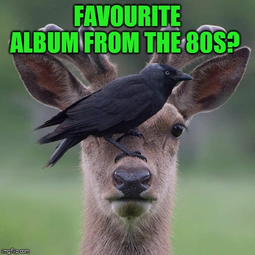 FAVOURITE ALBUM FROM THE 80S? | made w/ Imgflip meme maker