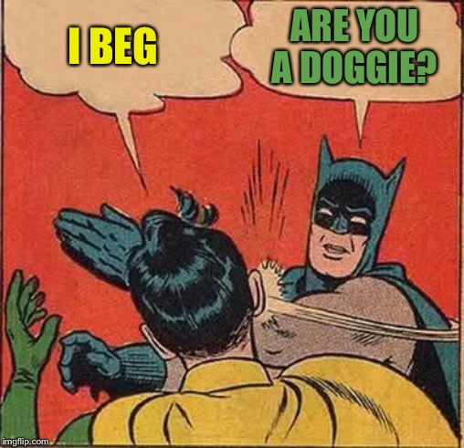 Batman Slapping Robin Meme | I BEG ARE YOU A DOGGIE? | image tagged in memes,batman slapping robin | made w/ Imgflip meme maker
