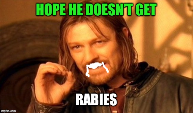 One Does Not Simply Meme | HOPE HE DOESN’T GET RABIES | image tagged in memes,one does not simply | made w/ Imgflip meme maker