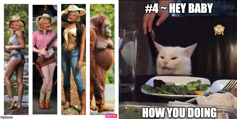 Smudge | #4 ~ HEY BABY; 🙈; HOW YOU DOING | image tagged in smudge the cat | made w/ Imgflip meme maker