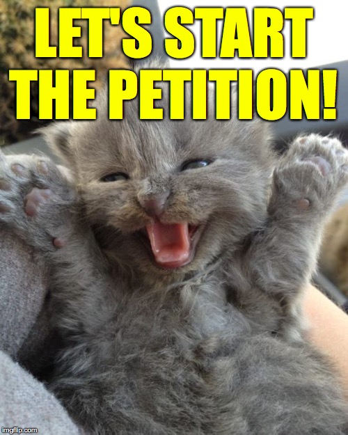 Yay Kitty | LET'S START THE PETITION! | image tagged in yay kitty | made w/ Imgflip meme maker