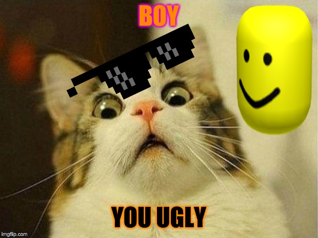 Scared Cat | BOY; YOU UGLY | image tagged in memes,scared cat | made w/ Imgflip meme maker