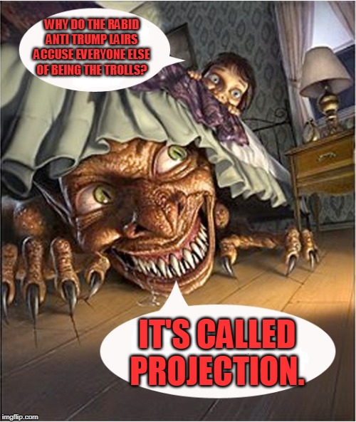 truth under the bed | WHY DO THE RABID ANTI TRUMP LAIRS ACCUSE EVERYONE ELSE OF BEING THE TROLLS? IT'S CALLED PROJECTION. | image tagged in truth under the bed | made w/ Imgflip meme maker