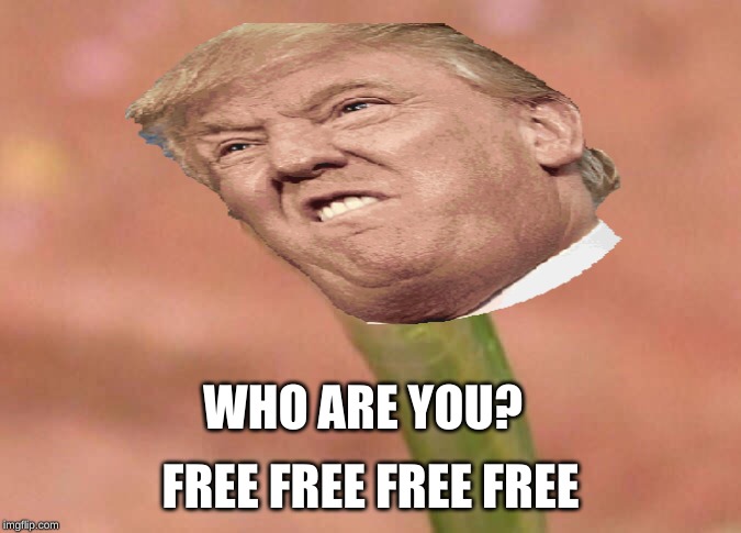 snakald trump | WHO ARE YOU? FREE FREE FREE FREE | image tagged in funny,politics | made w/ Imgflip meme maker