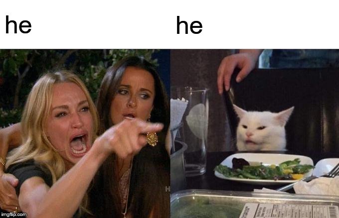 he he | image tagged in memes,woman yelling at cat | made w/ Imgflip meme maker