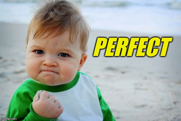 Success Kid Original Meme | PERFECT | image tagged in memes,success kid original | made w/ Imgflip meme maker