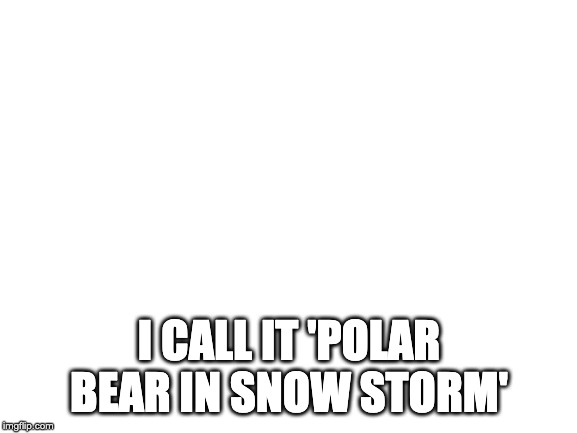 Blank White Template | I CALL IT 'POLAR BEAR IN SNOW STORM' | image tagged in blank white template | made w/ Imgflip meme maker