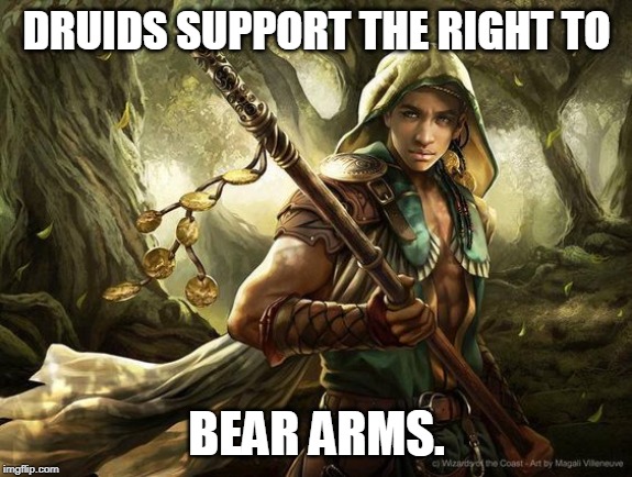 druid | DRUIDS SUPPORT THE RIGHT TO; BEAR ARMS. | image tagged in druid,dungeons and dragons | made w/ Imgflip meme maker