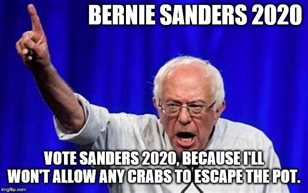 You da man | BERNIE SANDERS 2020; VOTE SANDERS 2020, BECAUSE I'LL WON'T ALLOW ANY CRABS TO ESCAPE THE POT. | image tagged in bernie sanders,democrats,election 2020 | made w/ Imgflip meme maker