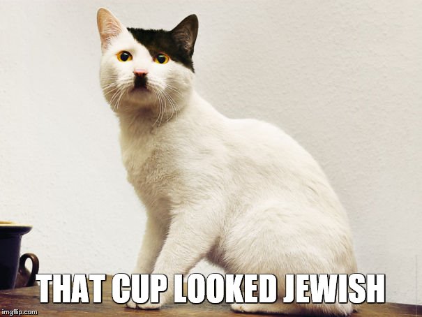 Hitler Cat | THAT CUP LOOKED JEWISH | image tagged in hitler cat | made w/ Imgflip meme maker