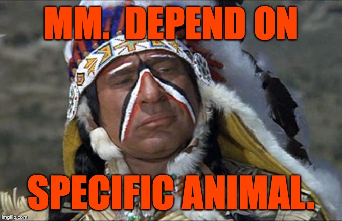 Mel Brooks Jewish Chief Blazing Saddles | MM.  DEPEND ON SPECIFIC ANIMAL. | image tagged in mel brooks jewish chief blazing saddles | made w/ Imgflip meme maker