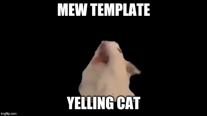 yelling cat | MEW TEMPLATE; YELLING CAT | image tagged in yelling cat | made w/ Imgflip meme maker