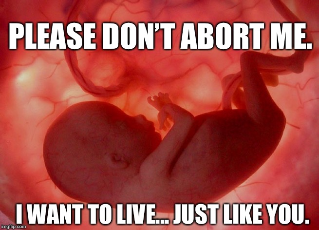 fetus | PLEASE DON’T ABORT ME. I WANT TO LIVE... JUST LIKE YOU. | image tagged in fetus | made w/ Imgflip meme maker