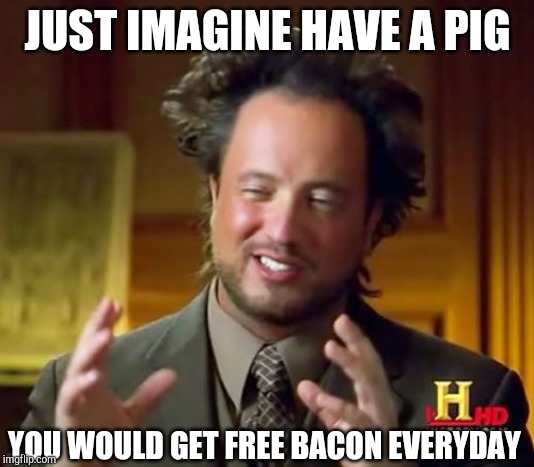 Ancient Aliens Meme | JUST IMAGINE HAVE A PIG; YOU WOULD GET FREE BACON EVERYDAY | image tagged in memes,ancient aliens | made w/ Imgflip meme maker