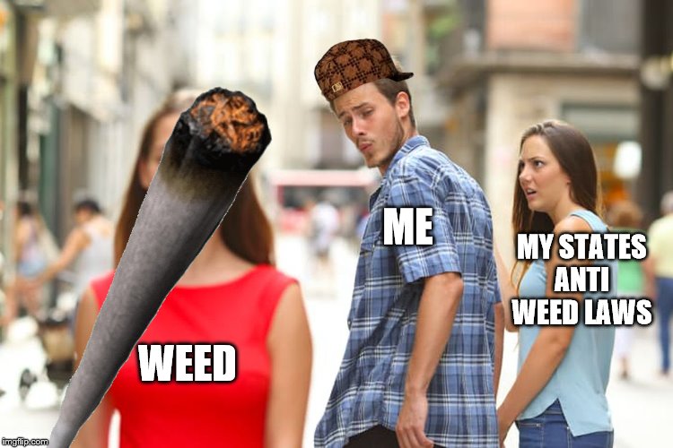 ME; MY STATES ANTI WEED LAWS; WEED | image tagged in epic | made w/ Imgflip meme maker