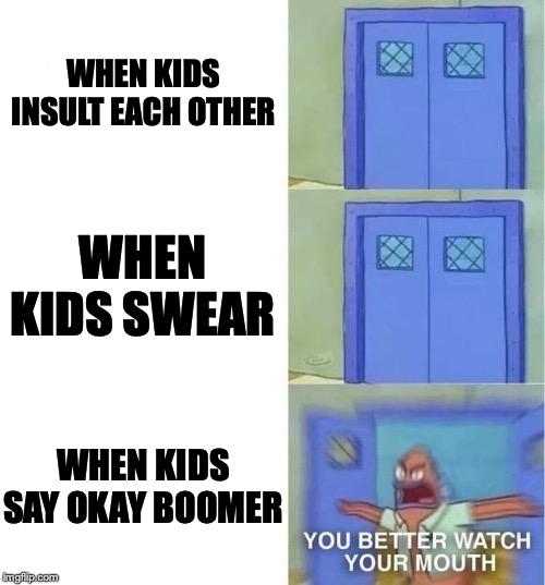 You Better Watch Your Mouth 3 panels | WHEN KIDS INSULT EACH OTHER; WHEN KIDS SWEAR; WHEN KIDS SAY OKAY BOOMER | image tagged in you better watch your mouth 3 panels | made w/ Imgflip meme maker