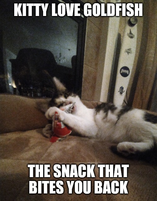 Goldfish | KITTY LOVE GOLDFISH; THE SNACK THAT BITES YOU BACK | image tagged in cats | made w/ Imgflip meme maker