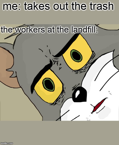 Unsettled Tom Meme | me: takes out the trash; the workers at the landfill: | image tagged in memes,unsettled tom | made w/ Imgflip meme maker