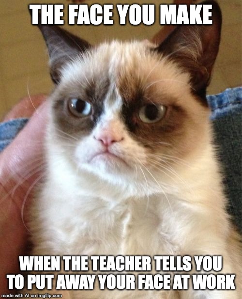 Hold up... | THE FACE YOU MAKE; WHEN THE TEACHER TELLS YOU TO PUT AWAY YOUR FACE AT WORK | image tagged in memes,grumpy cat | made w/ Imgflip meme maker