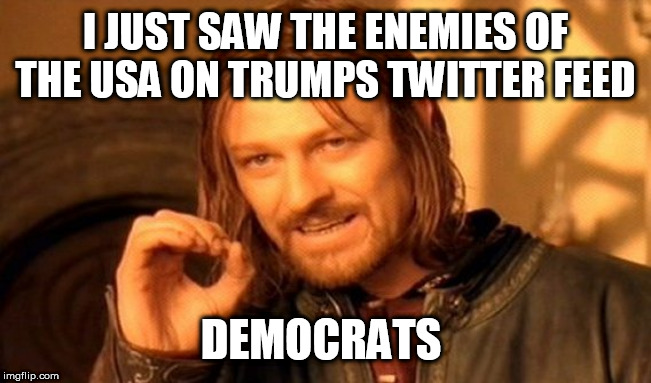 One Does Not Simply Meme | I JUST SAW THE ENEMIES OF THE USA ON TRUMPS TWITTER FEED; DEMOCRATS | image tagged in memes,one does not simply | made w/ Imgflip meme maker