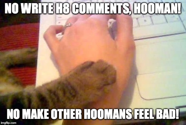 stop posting cat | NO WRITE H8 COMMENTS, HOOMAN! NO MAKE OTHER HOOMANS FEEL BAD! | image tagged in stop posting cat | made w/ Imgflip meme maker